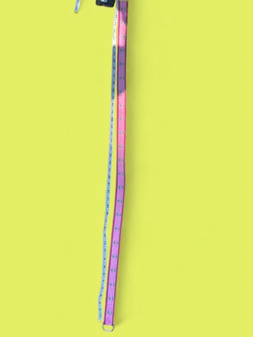 Eliza B preppy palm
